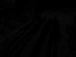 SX29251 Dark shadows of Matt, Libby, Jenni and Marijn.jpg